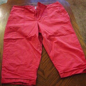 Jamaica Bay Pink Petite Size 16